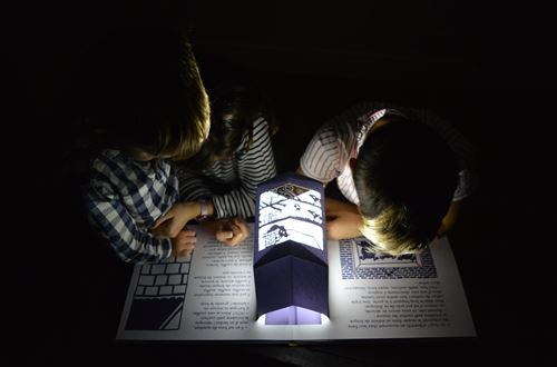 Livre - théâtre d'ombres "Les 3 petits cochons"