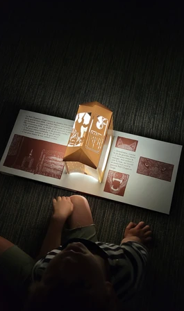Livre, théâtre d'ombres "Le Petit Chaperon Rouge"